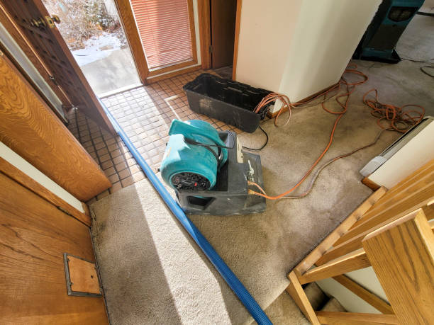 Best Flood damage cleanup  in Three Points, AZ
