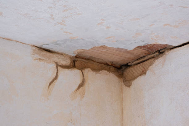 Best Flood restoration services  in Three Points, AZ