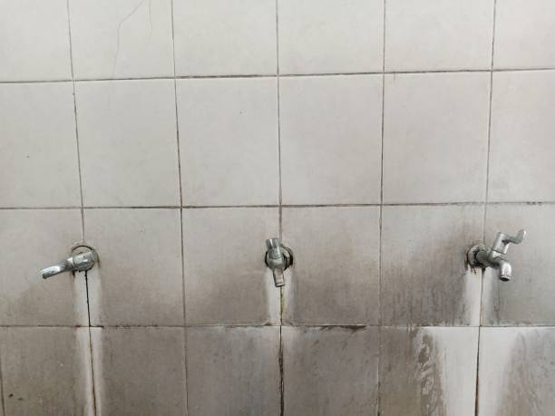 Best Water damage restoration process  in Three Points, AZ