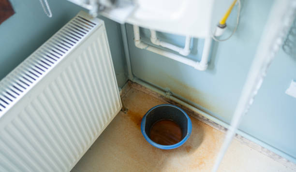 Best Flooded house restoration  in Three Points, AZ