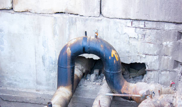 Best Professional water damage repair  in Three Points, AZ