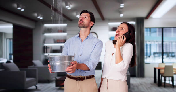 Trusted Three Points, AZ Water damage restoration Experts